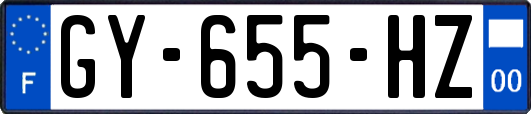 GY-655-HZ