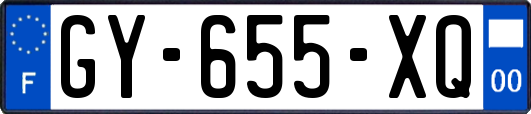 GY-655-XQ