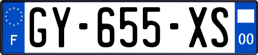 GY-655-XS