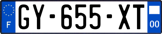 GY-655-XT