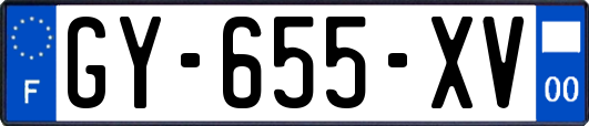 GY-655-XV