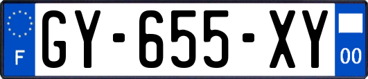 GY-655-XY