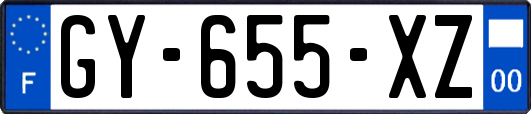 GY-655-XZ