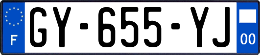 GY-655-YJ