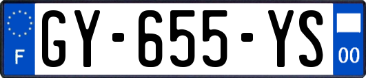 GY-655-YS