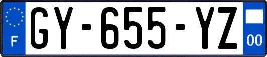 GY-655-YZ