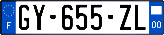 GY-655-ZL