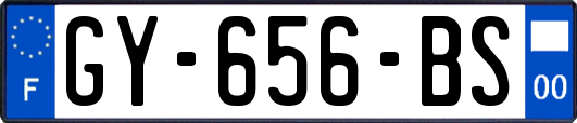 GY-656-BS