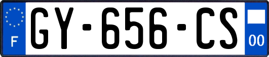 GY-656-CS