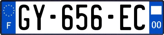 GY-656-EC