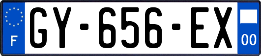GY-656-EX