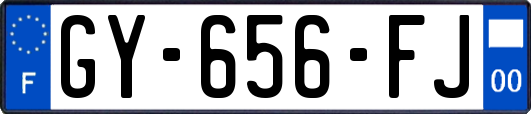 GY-656-FJ