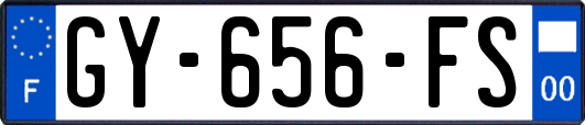 GY-656-FS