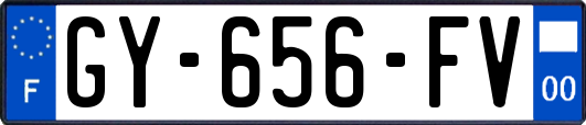 GY-656-FV