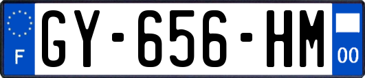 GY-656-HM