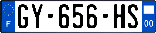 GY-656-HS