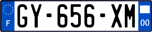 GY-656-XM