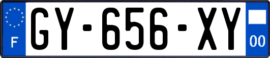 GY-656-XY