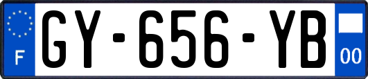 GY-656-YB