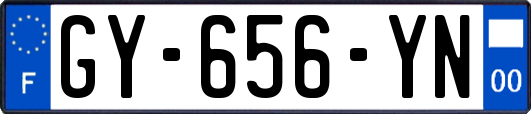 GY-656-YN