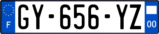 GY-656-YZ