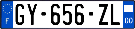 GY-656-ZL