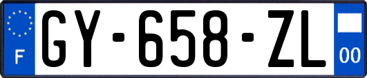 GY-658-ZL