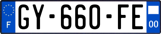 GY-660-FE