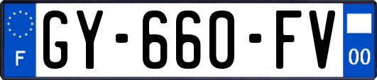 GY-660-FV