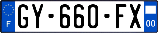 GY-660-FX