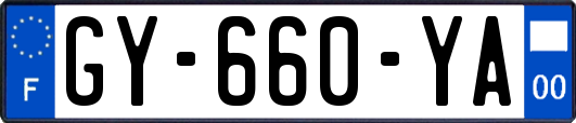 GY-660-YA