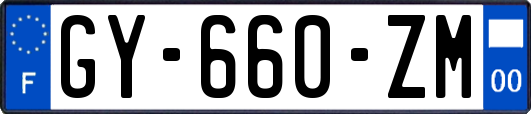 GY-660-ZM