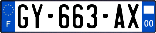 GY-663-AX