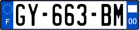 GY-663-BM
