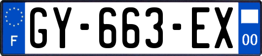 GY-663-EX