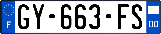 GY-663-FS