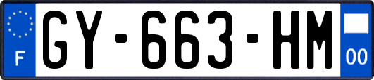 GY-663-HM