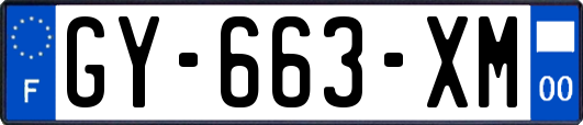 GY-663-XM