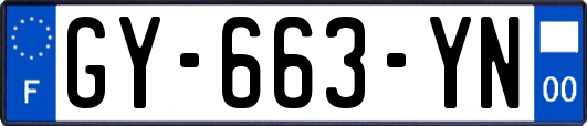 GY-663-YN
