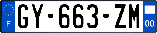 GY-663-ZM