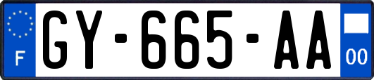 GY-665-AA