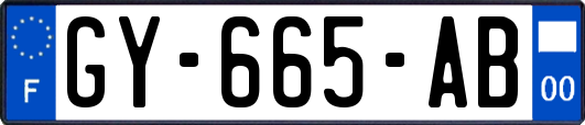 GY-665-AB