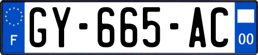 GY-665-AC