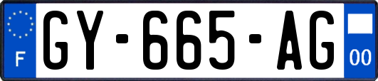 GY-665-AG