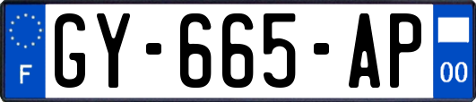 GY-665-AP