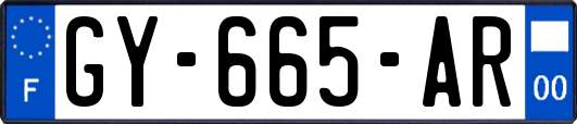 GY-665-AR