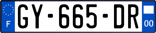 GY-665-DR
