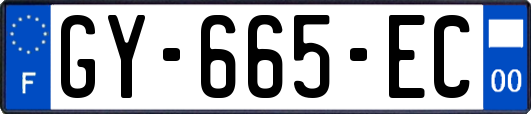 GY-665-EC