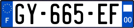 GY-665-EF