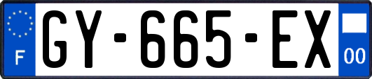 GY-665-EX